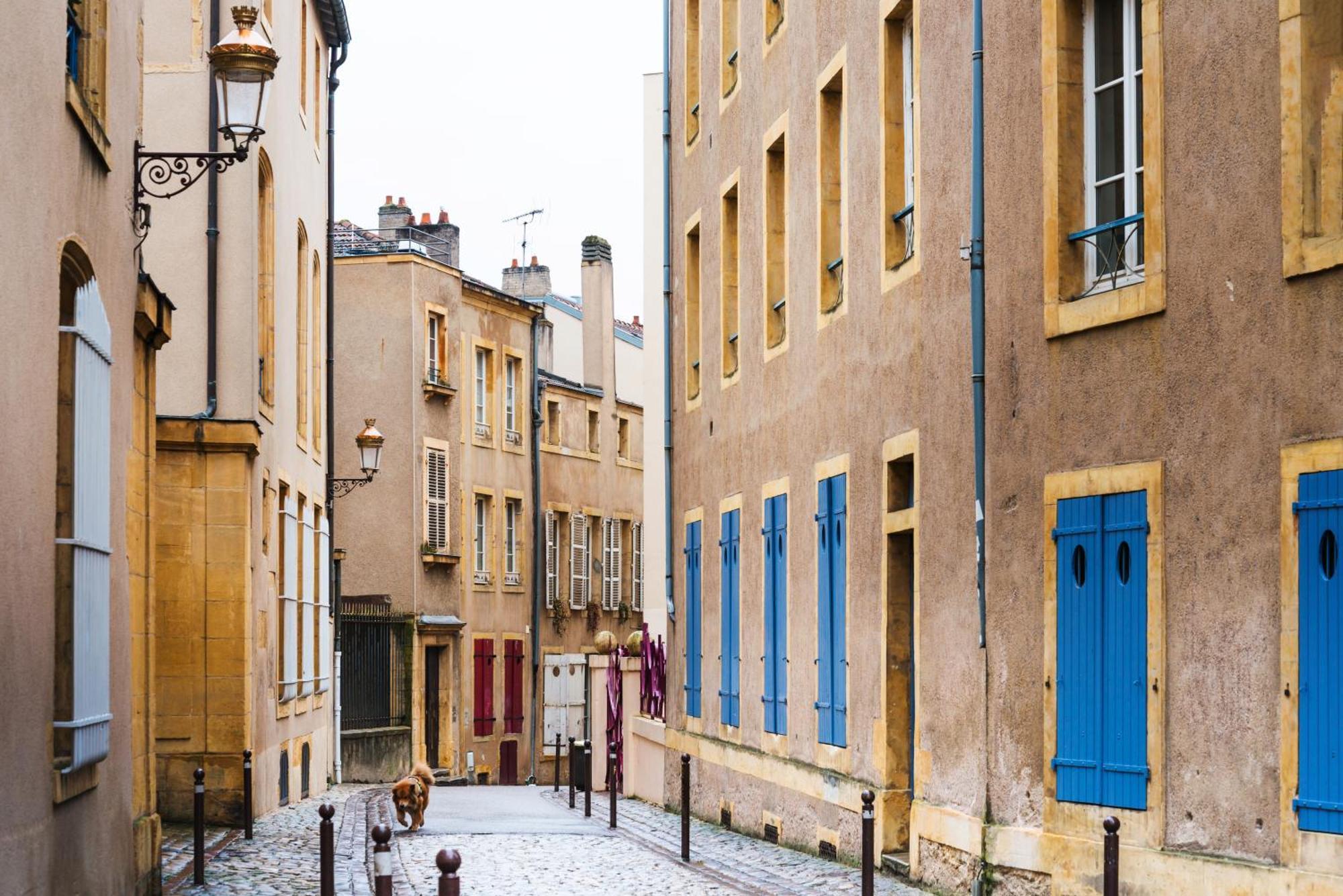 La Canopee - - Netflix